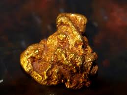 Three gold nuggets from tuolumne county, california, similar to what the early miners would have found. 17 Of California S Richest Gold Mining Locations How To Find Gold Nuggets
