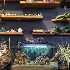 Nano Aquarium 40x20x20cm Aquascaped W Dragon Stone Extra Large Duckweed Lemna Minor And Silica Sand Dragon Tasi Buyuk Aquascape Nano Aquarium Fish Tank