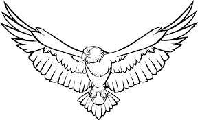White Bird With Wings Spread Free Image On Pixabay Animal Bird Eagle Flight Flying Flying Bird Tattoo Eagle Drawing Eagle Wing Tattoos