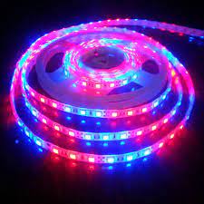 We did not find results for: Led Strip Light At Rs 210 Piece Led Light Ribbon Led Strips Led Strip Light Led Tape Light Led Ribbon Light Dey Electrical And Electronics Hooghly Id 13275847655
