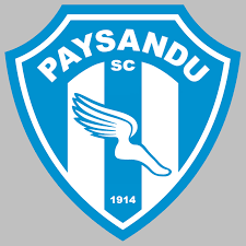 Botafogo pb football match, goals scored, goals conceded, clean sheets, btts and more. Paysandu