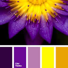 Often associated with majesty and mystery, purple is naturally found in a wide variety of flowers and has become nearly synonymous with various royal families. Color Palette 2362 Color Palette Color Schemes Colour Palettes Color Balance