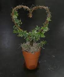 How To Create Heart Topiaries Topiary Diy Raised Garden Urban Garden