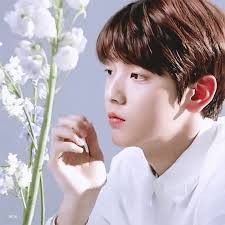 Txt the dream chapter magic by po_fan Crumbled Soul Asianfanfics