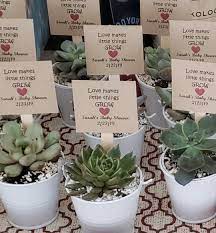 2 Rosette Succulents Baby Shower Favours For Guests Baby Shower Fun Baby Shower Book