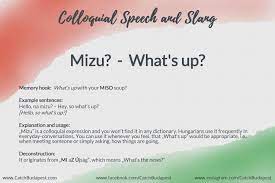 Mizu Catch Budapest