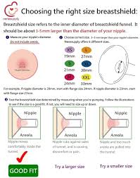 73 Interpretive Medela Breastshield Sizes