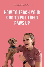 How To Teach Your Dog To Put Their Paws Up Nicole Ellis