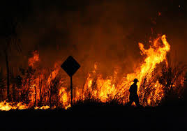 «manual de formación para la lucha contra incendios» (pdf). Se Podrian Haber Evitado Los Incendios De Australia