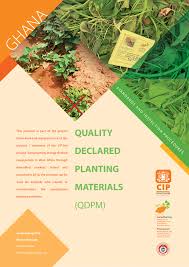 Image result for Crotalaria longithyrsa