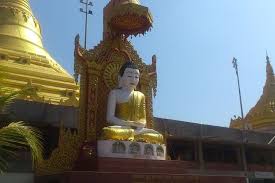 Tiger and lion safari was disappointing ...