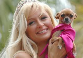 Britain's best doggie hotels