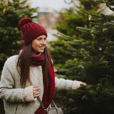 Les Sapins De Noel Sont Deja En Vente Chez Les Fleuristes Lillois