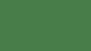 We did not find results for: Hex Color Code 487d49 Pantone 17 6333 Tcx Mint Green Color Information Hsl Rgb Pantone