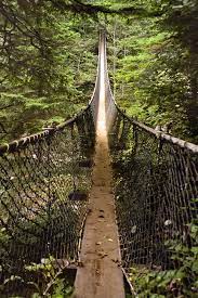 West Coast Trail Yes Why Not West Coast Trail West Coast Canada Canada West Coast
