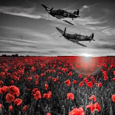 Learn more about lest we forget dictionary entries near lest we forget Lest We Forget General Discussion No Support Requests Here Please Orbx Community And Support Forums