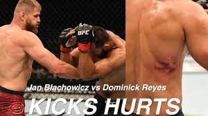 I'm here, this is how we do it in poland. Jan Blachowicz Is Light Heavyweight Champ Vs Dominick Reyes In Hindi Youtube