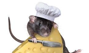 Maybe you would like to learn more about one of these? 50 Ratatouille Quotes That Prove Anyone Can Be Great Everyday Power