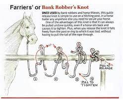 First loop the rope over a pole, or through a ring. Farriers Or Bank Robber S Knot Horses Horse Tips Horse Exercises