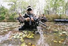 Image result
