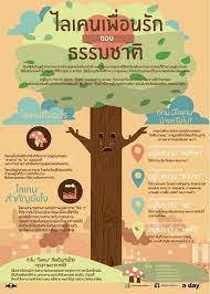 a day foundation infographic ไลเคนเพ อนร กของธรรมชาต ความร ห องเร ยนว ทยาศาสตร การเร ยนร