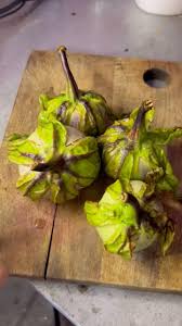 Image result for Solanum macrocarpon