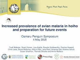 ↑ 2.0 2.1 2.2 ufo aviarian adepti. Pdf Increased Prevalence Of Avian Malaria In Hoiho And Preparation For Future Events