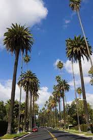 Maybe you would like to learn more about one of these? Beverly Hills Luxus Zwischen Hollywood Und Los Angeles
