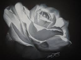 Black And White With Color Drawing White Rose By Alexandra Black Paper Drawing Charcole Drawings Colored Pencil Artwork