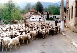 Sangeorz Bai Si Imprejurimile Sale Impresii Descoperă Sangeorz Băi Sangeorz Băi Bn Amfostacolo