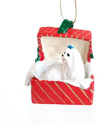 Amazon Com Maltese Dog Sits In A Red Gift Box Christmas Ornament New Rgbd34 Home Kitchen