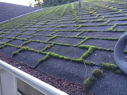 So, if you need spanish moss removed from your trees for any reason, give sarasota tree care services a call today. Roof Moss Removal Evergreen Window Cleaning Home Maintenance