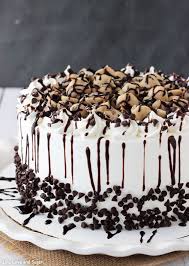 Chocolate Chip Cookie Dough Ice Cream Cake The Best Ice Cream Cake Recipe Chocolate Chip Cookie Dough Ice Cream Desserts Chocolate Chip Cookies