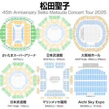 日本武道館ライブ-DJ CHARI TATSUKIヒップホップ初公演