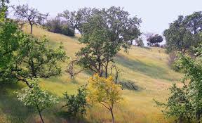 4260 market street, ventura, ca 93003. Soar Save Open Space And Agricultural Resources
