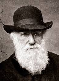 Charles Darwin Biography: Naturalist, Geologist and Biologist