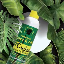 Cactus oil serum is packed with nourishing ingredients designed to protect locs from the damage of harsh climates. 15 Jml Cactus Ideas In 2021 Jamaican Mango And Lime Cactus Jamaicans