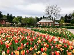 Check spelling or type a new query. Experience Springtime In Asheville Nc