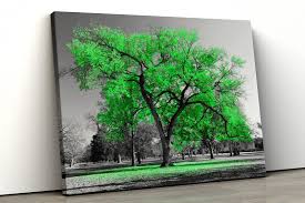 Black And White Photo Canvas Wall Art Large Green Tree Black White Home Decor Nature Framed Canvas Etsy Nature Canvas Art Framed Canvas Prints Photo Canvas