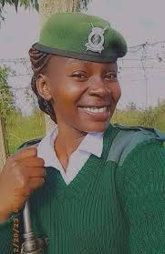 Officer helps deliver calf during traffic stop