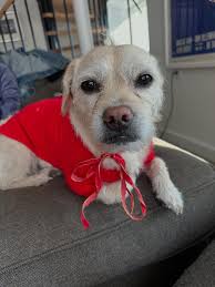 A short story not about intentions. Link in bio. Thank you for letting me  share.