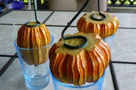 Pumpkin will surely light up your halloween for years to come. Easy Diy Fall Pumpkin Garden Stakes Birds And Blooms