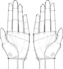 An Exceedingly Simple Guide To Master The Art Of Palm Reading