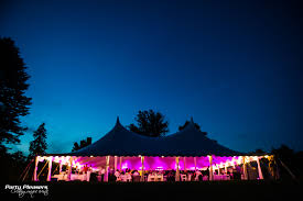 French Park In 2020 Tent Lighting Cincinnati Weddings Dark Skies