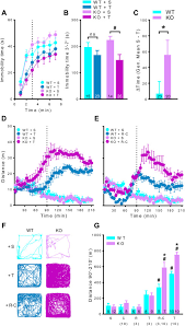 Buat duit percuma dengan aplikasi #mookee | cara mudah buat duit. Taar1 Dependent And Independent Actions Of Tyramine In Interaction With Glutamate Underlie Central Effects Of Monoamine Oxidase Inhibition Biological Psychiatry