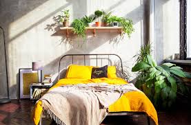 Yatak Odasinda Bulunmasi Faydali Olan Bitkiler Evim