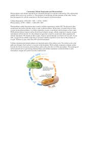 • use a venn diagram to compare and contrast. Connecting Cellular Respiration And Photosynthesis Studocu