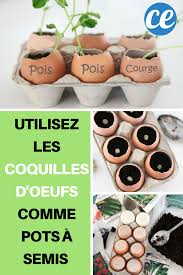 Utilisez Les Coquilles D Oeufs Comme Pots A Semis Pour Economiser Sur Le Jardinage Jardinage Coquille D Oeuf Table De Petit Dejeuner