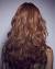 Back Dark Layered Long Hair