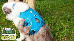 Yandex.webmaster checks the site for more than two dozen typical technical errors and helps. Ruff Wear Web Master Dog Safety Harness Youtube